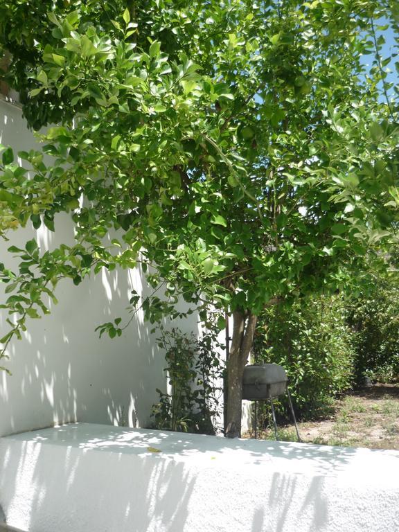 Casa Da Terra Villa Góis Szoba fotó